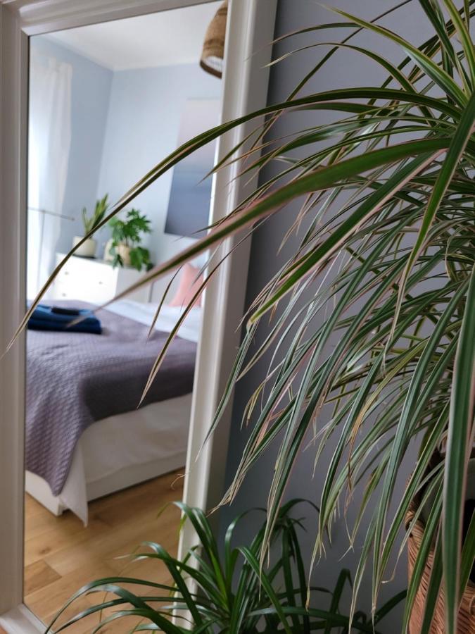 Maciejkowa Leilighet Szczecin Eksteriør bilde
